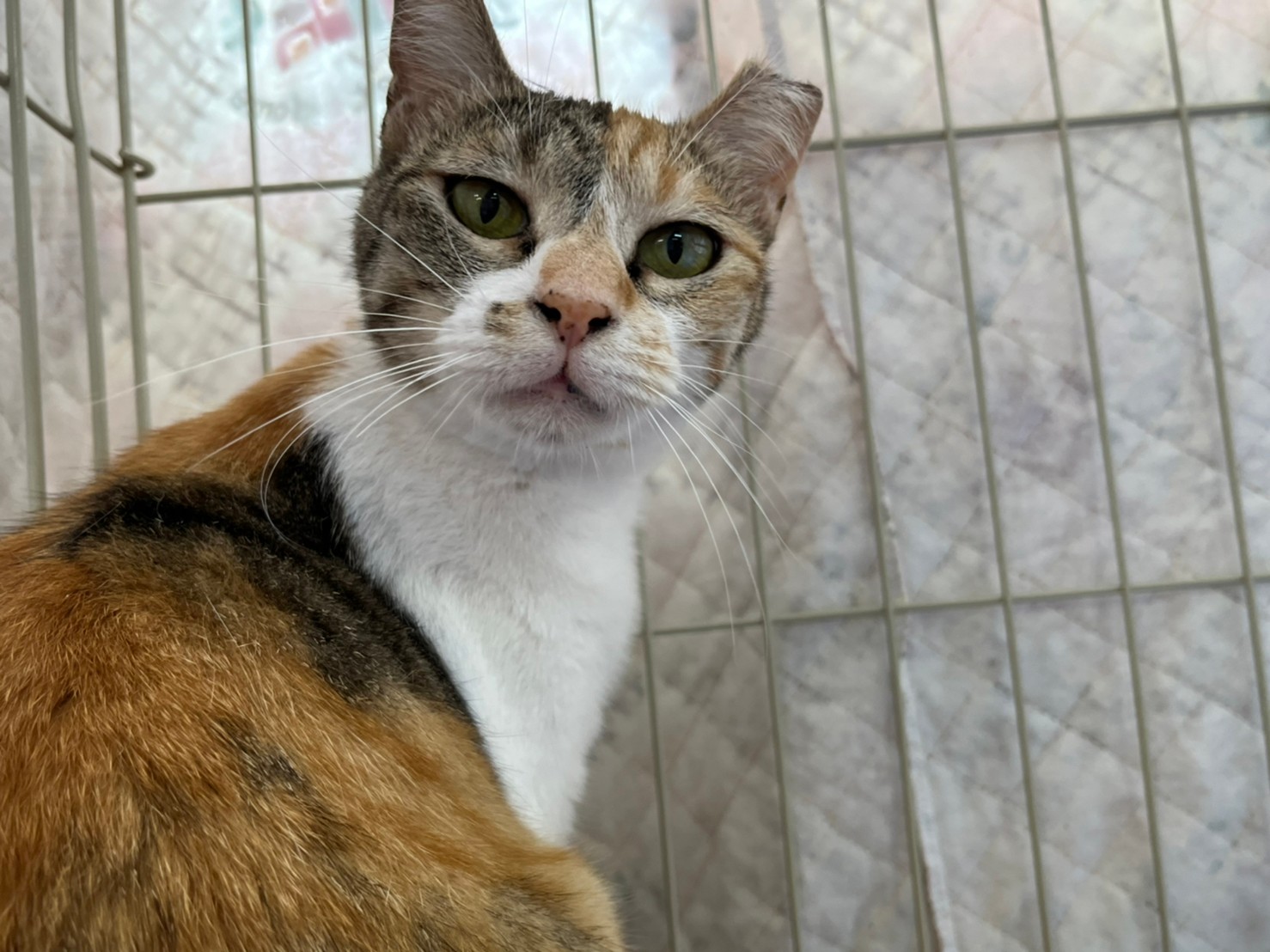 LINE_ALBUM_20220701_220705_8