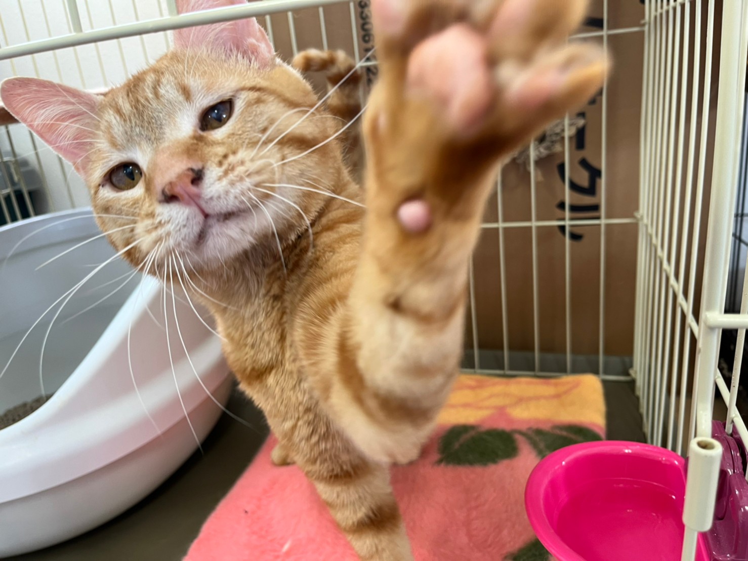 LINE_ALBUM_20220701_220707_2