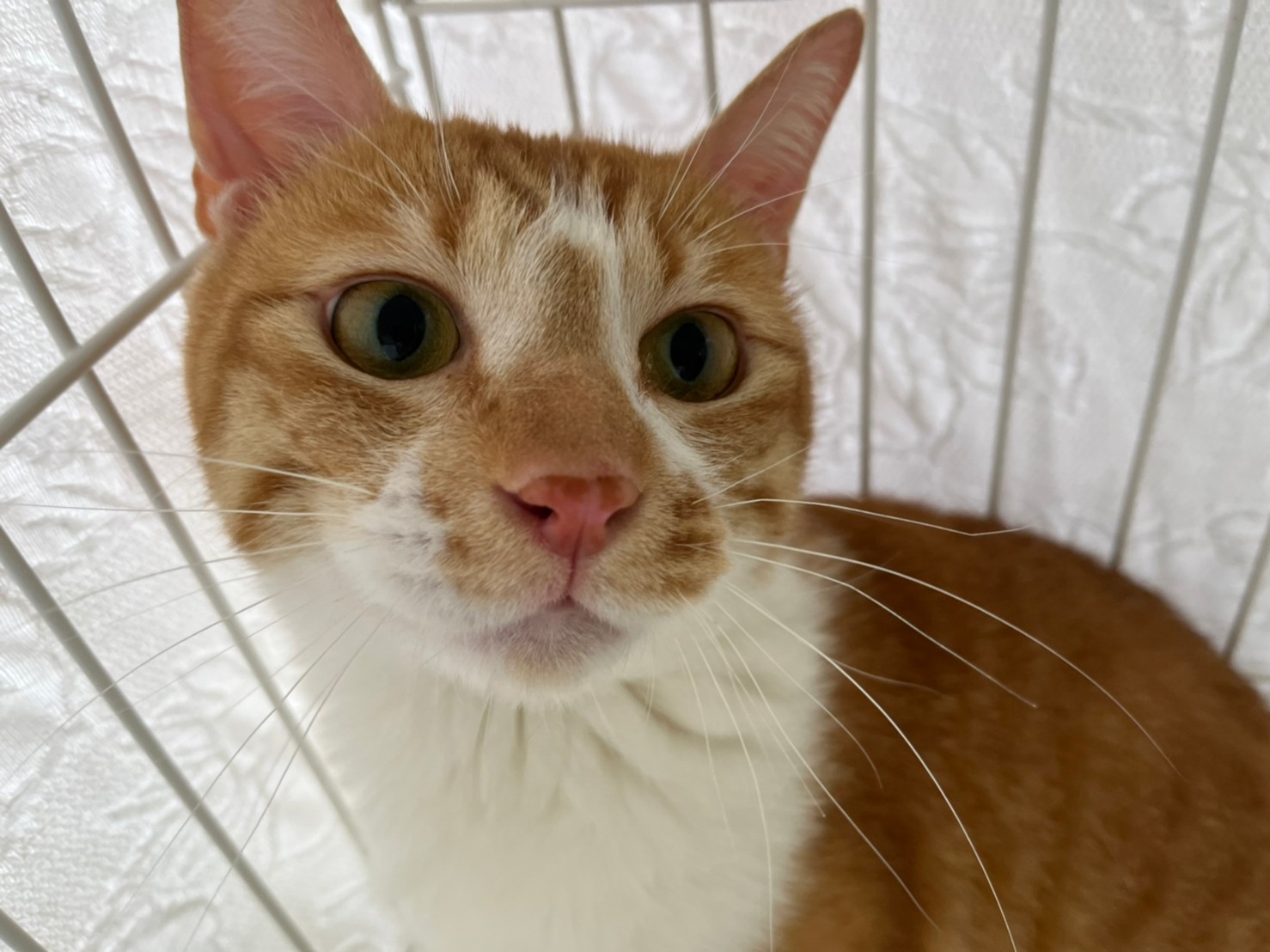 LINE_ALBUM_20220701_220707_7