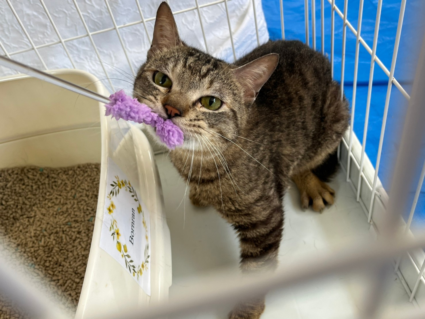 LINE_ALBUM_20220701_220710_4_0