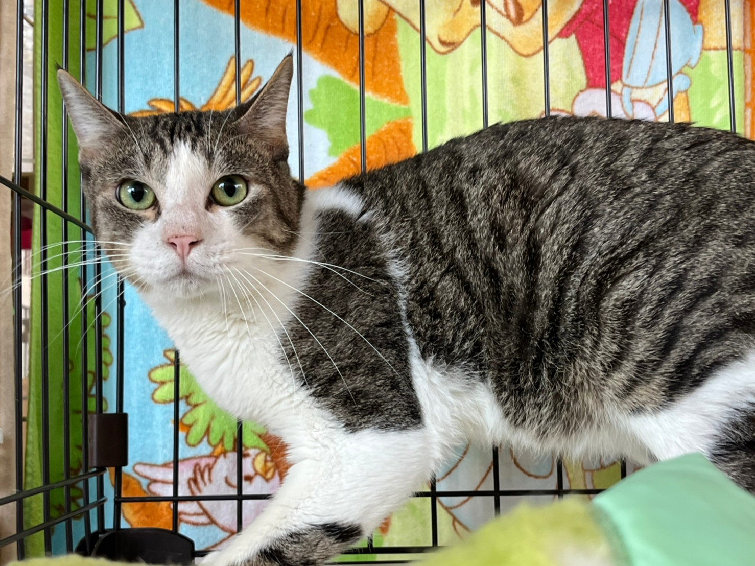 LINE_ALBUM_20220701_220710_4_1