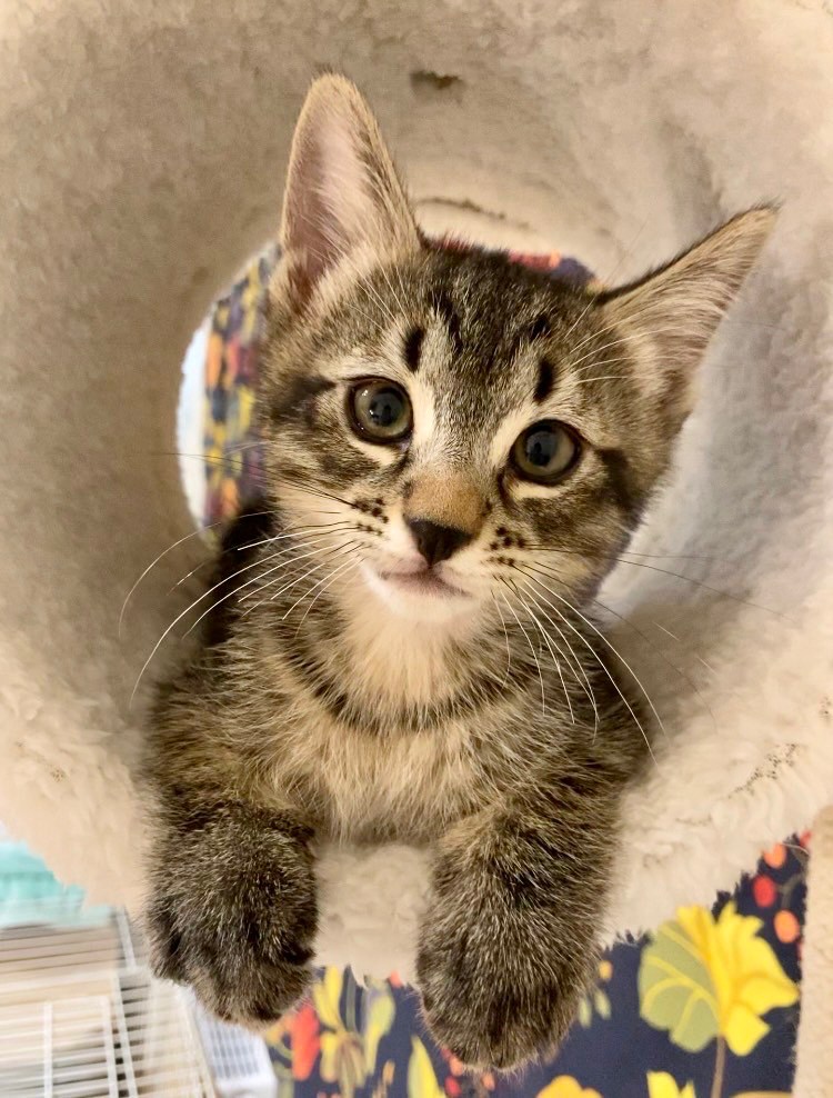 timeline_20220529_183319