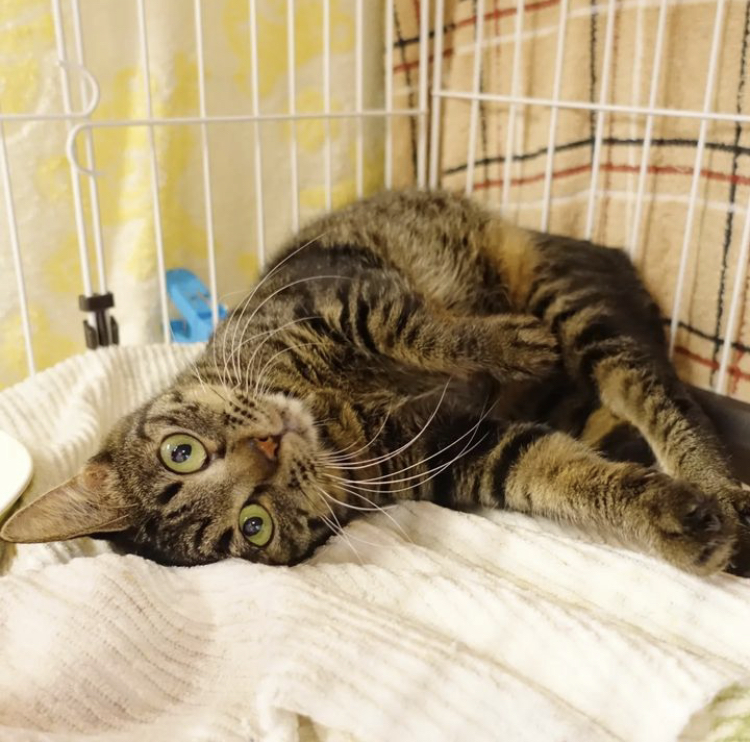 09535F64-C75C-428B-9241-4A9A2D5A3A87