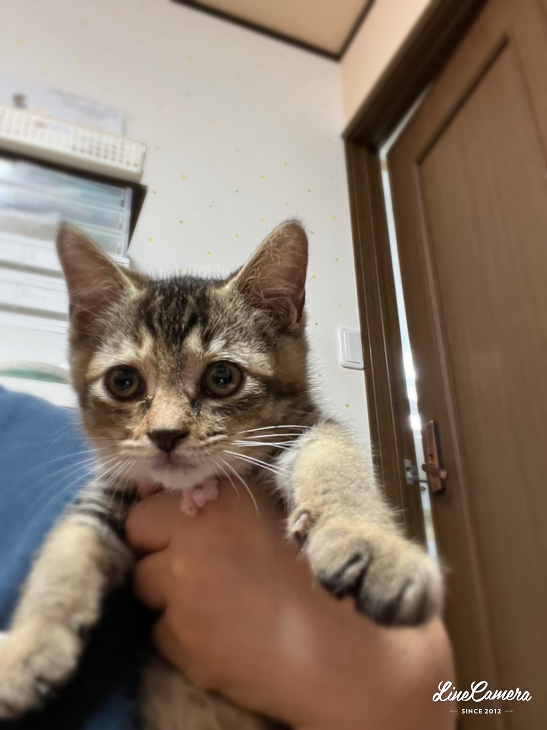 310B615D-2FB5-484A-84D9-5BC8CD5363AA