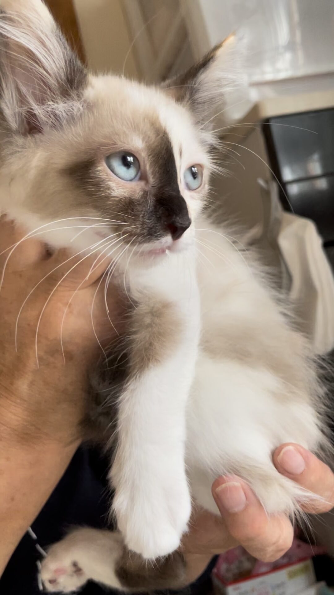 2F4022C5-BAD9-4D06-A0EF-EF3388B9168B