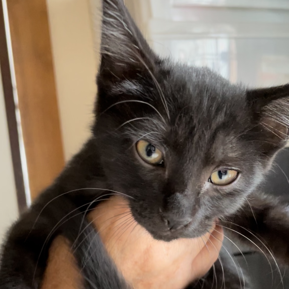 485E7CF5-6711-4B32-9CAC-319AE0E9311F