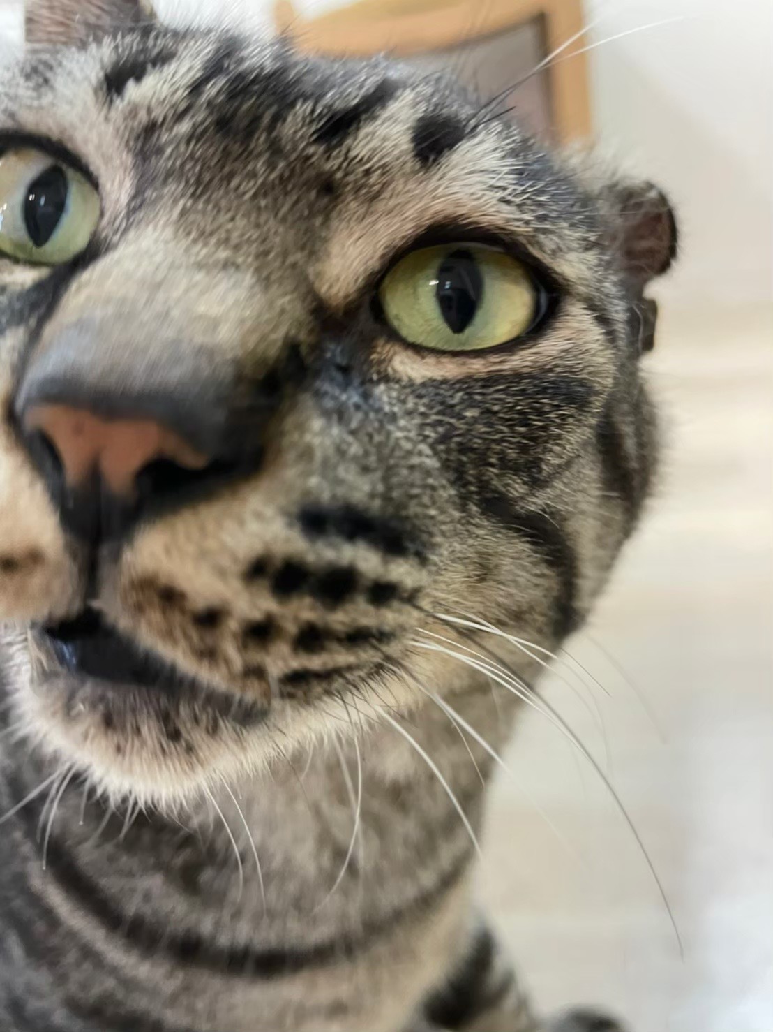 7BC84C1B-81F8-4148-A885-9E13045885B5