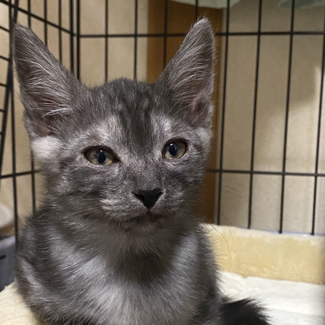 8748FB6E-F99F-4BB3-85E6-131BDF825B5A