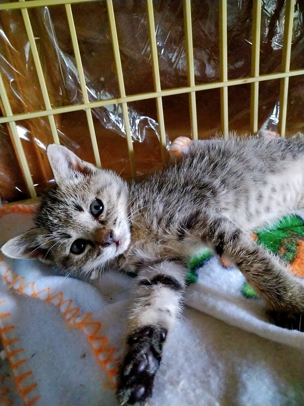 2022-10-06-09-53-29-373