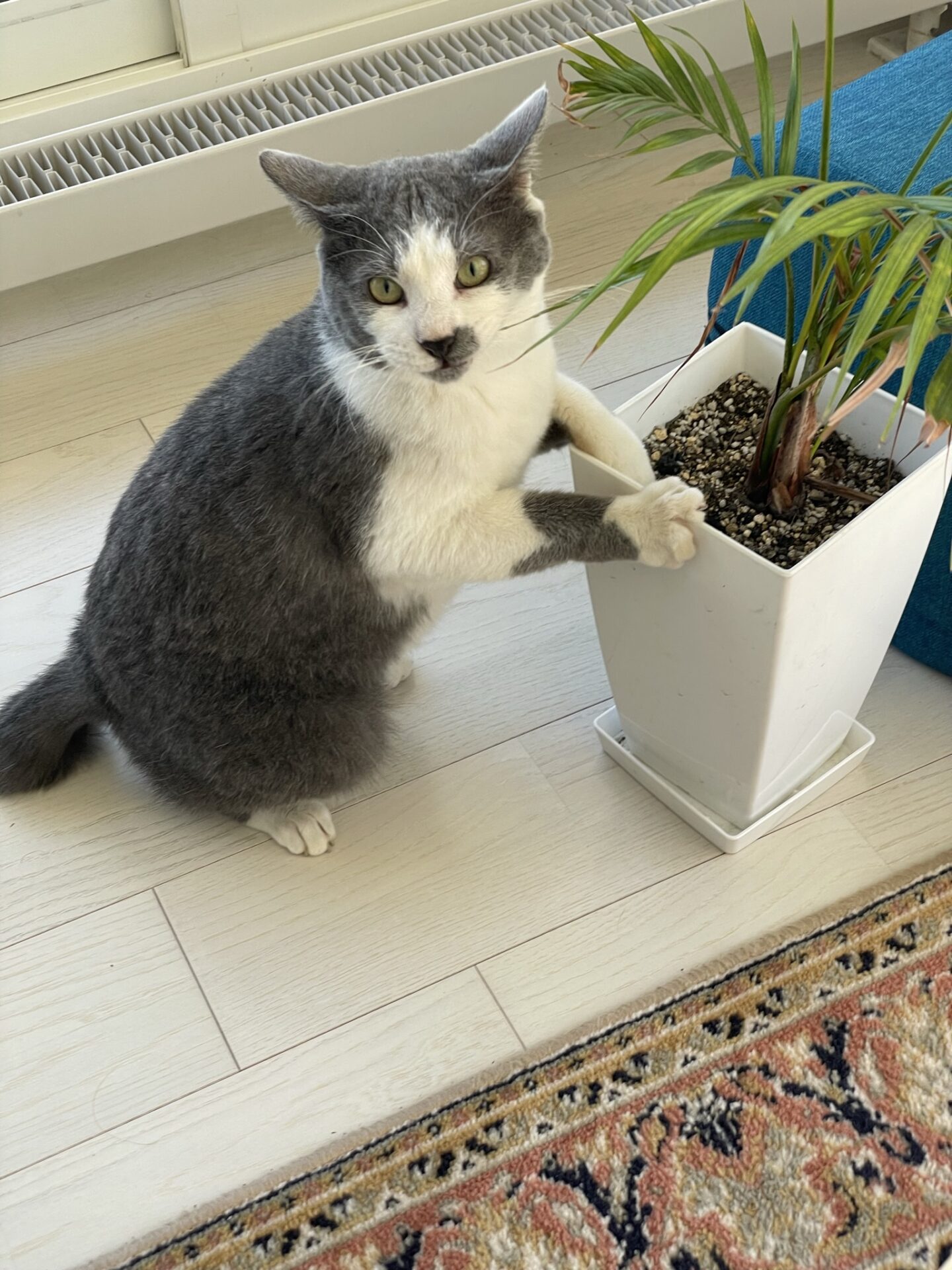 57AC3C66-E52A-40EF-9E78-4077E64B8E8B