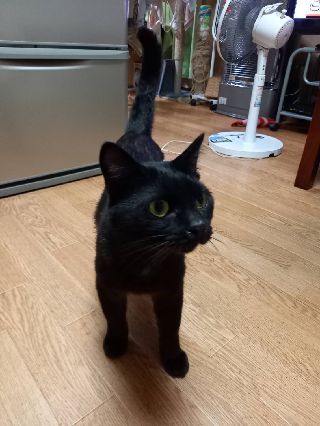 5BDA6006-DD18-4926-A7FB-E2093E2307DC