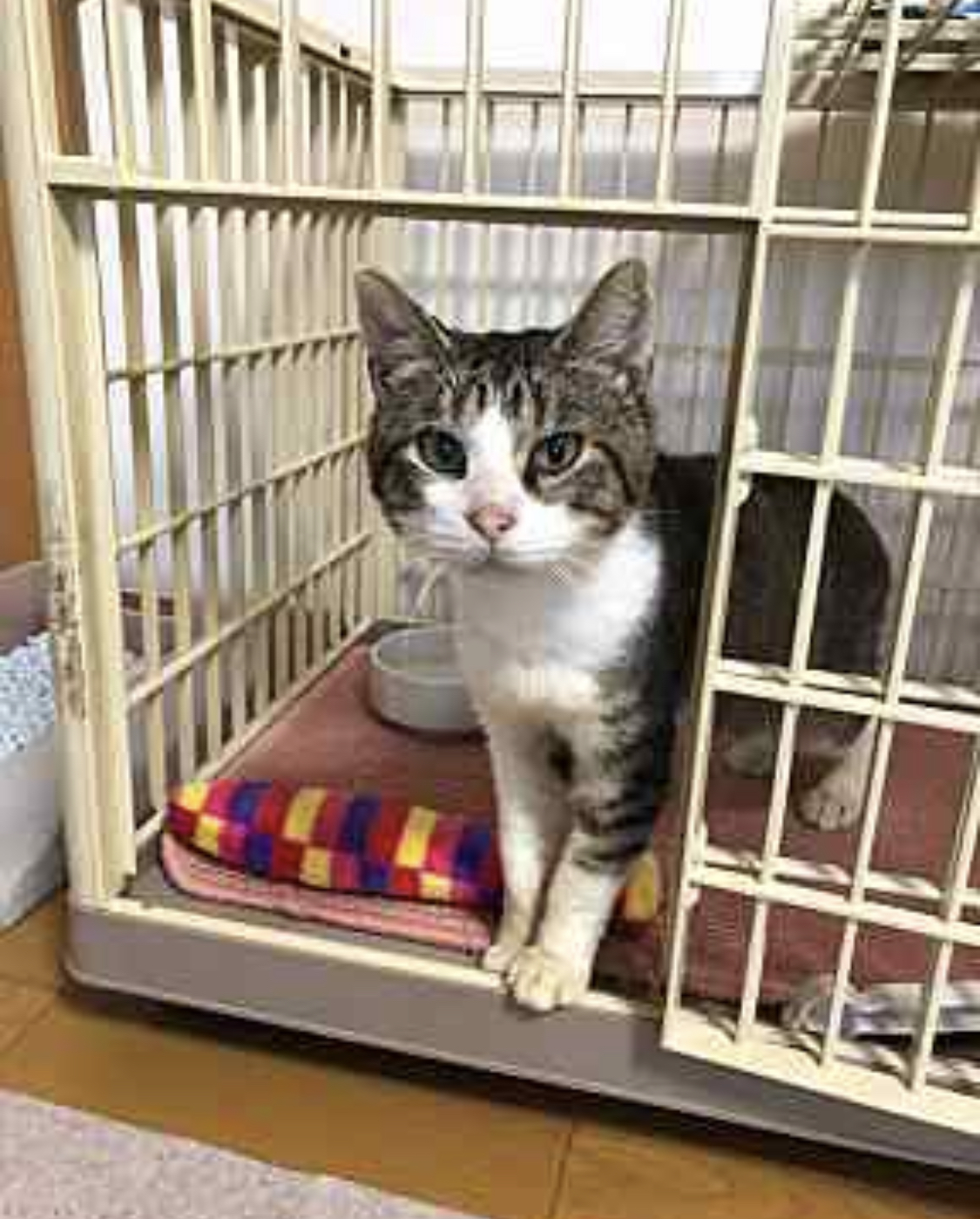 CEA1EBFC-84C5-4A9F-A56A-FC3B99960F7E