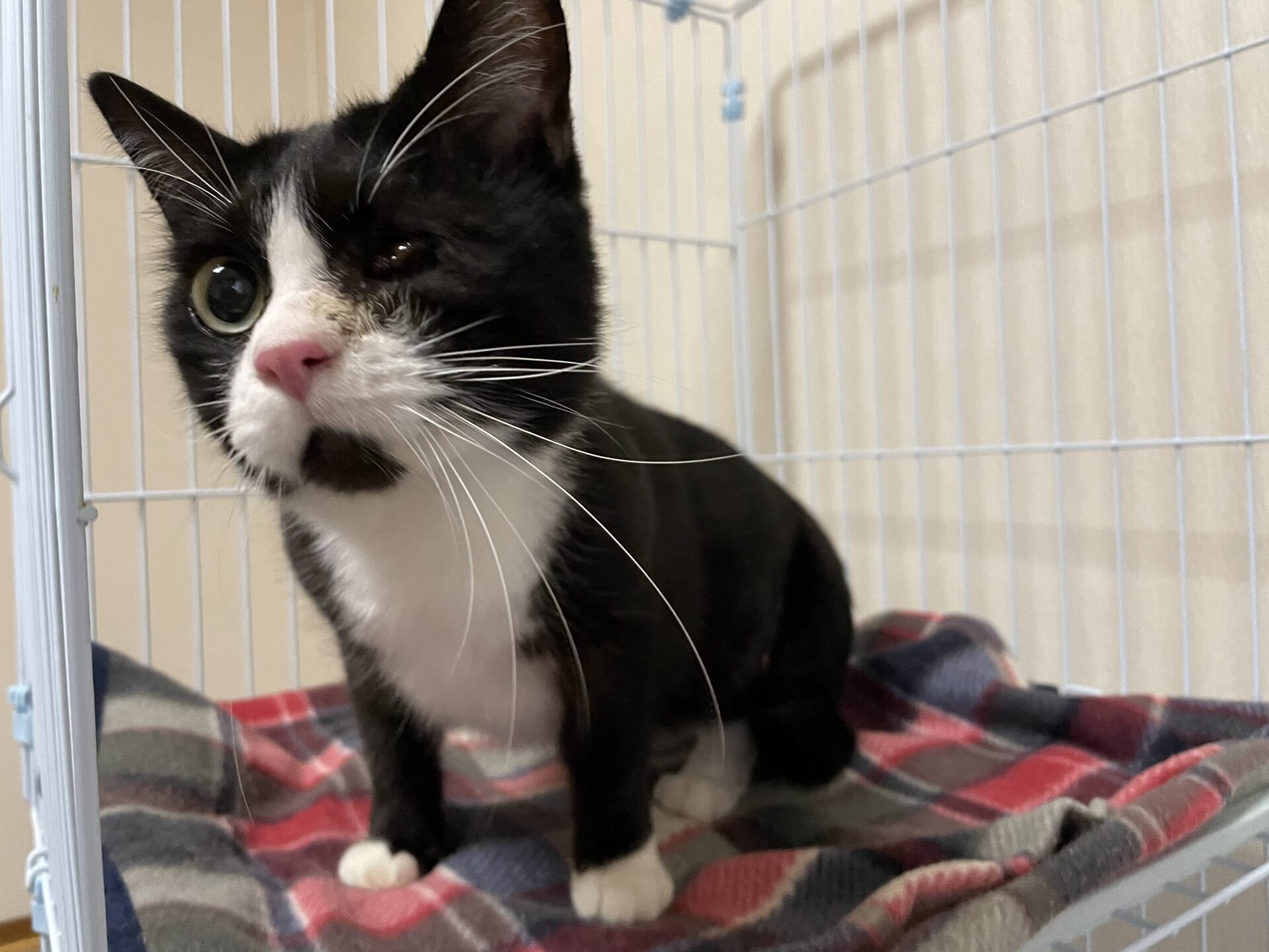 F641EEA9-3074-4CF7-8495-947BF7C1889F