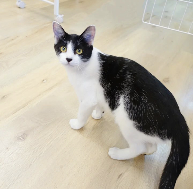 165127E2-2803-4800-BDD7-7212E9BEE398