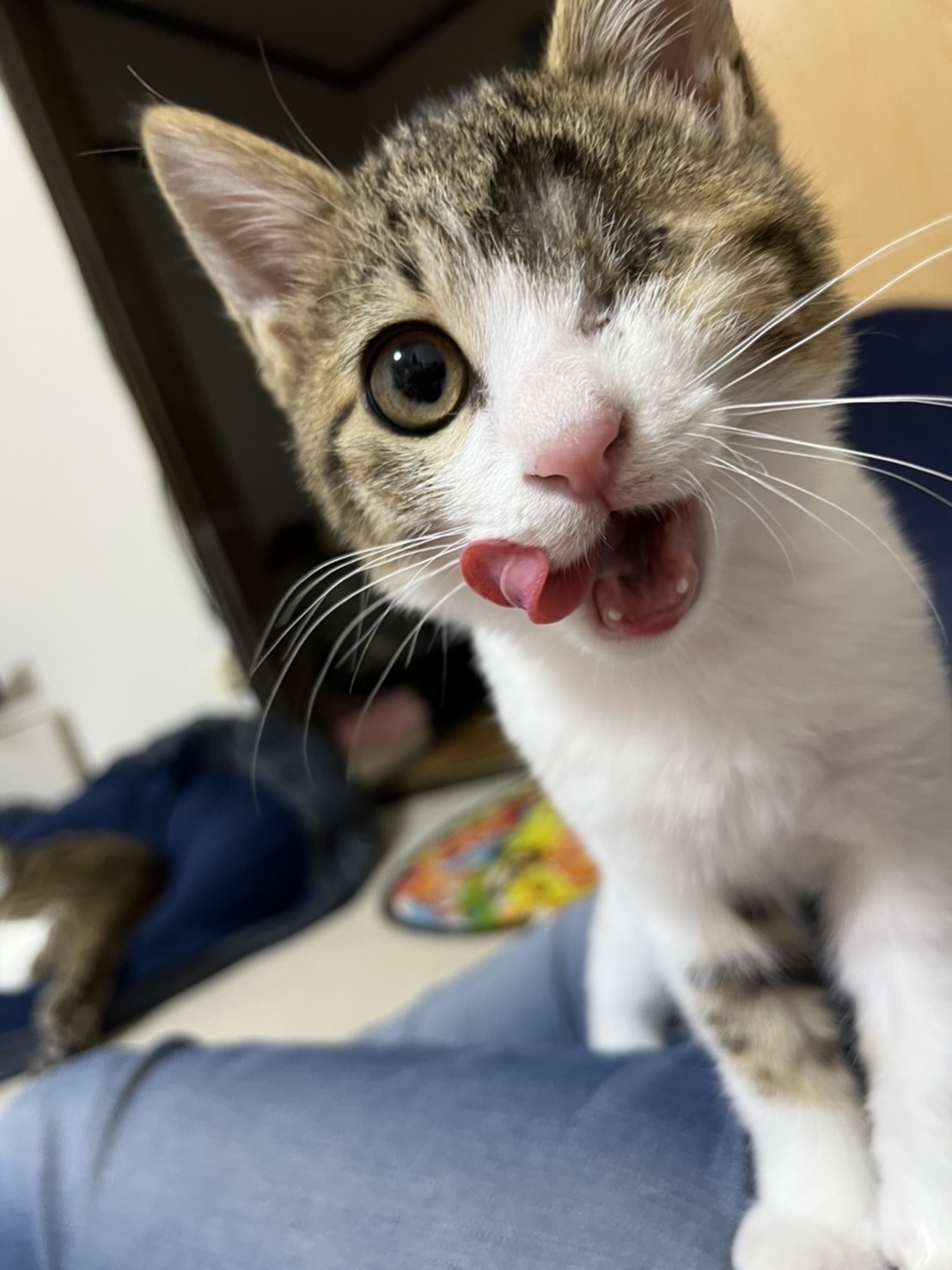 229F8211-F289-421B-A9A9-ABDCBAB0F923