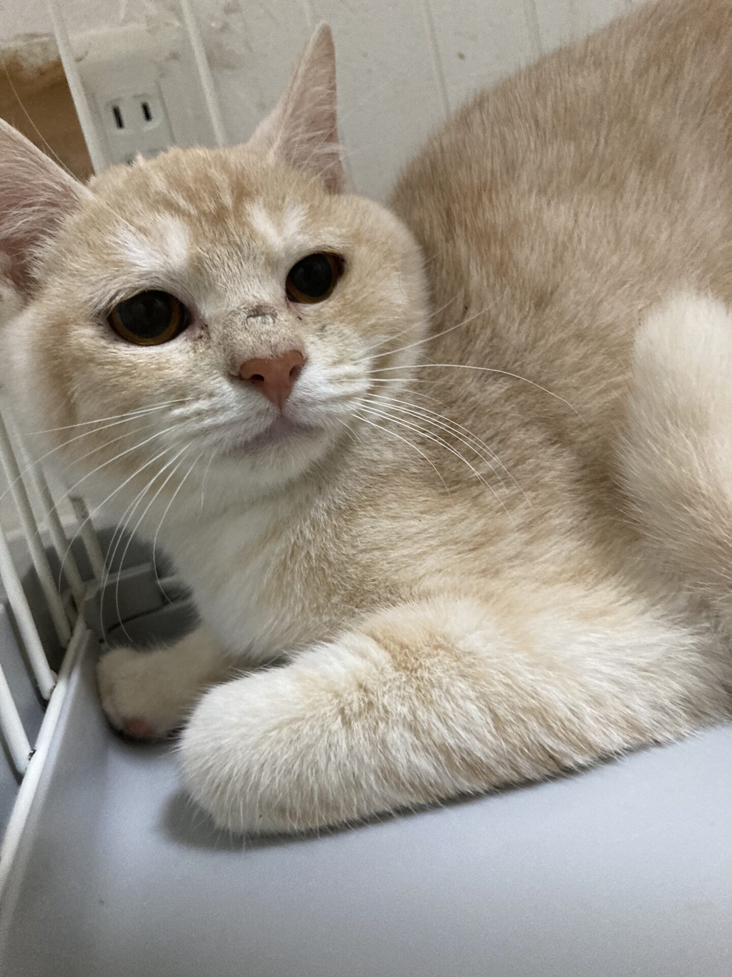 3A4E2F42-29EA-455C-8A75-C44EE388FB4C