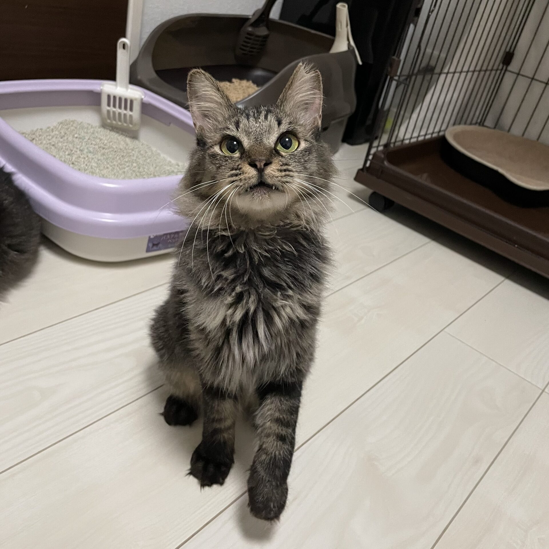 4F748490-8A29-42B7-8156-0ACBE12C0897