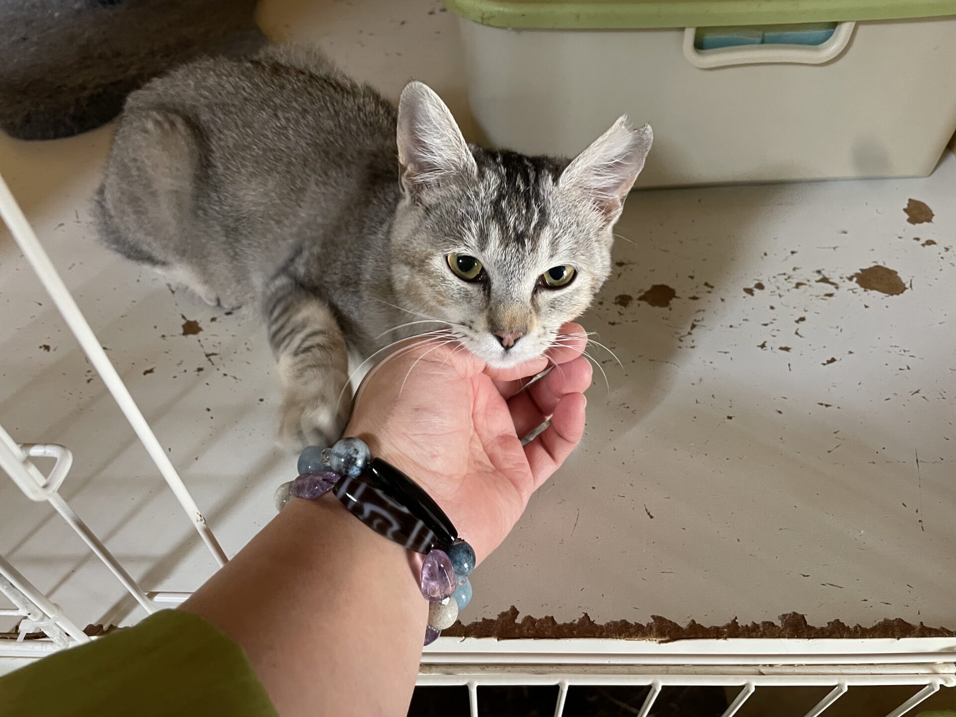 556543C5-904C-4CB3-917F-0909C921EABD