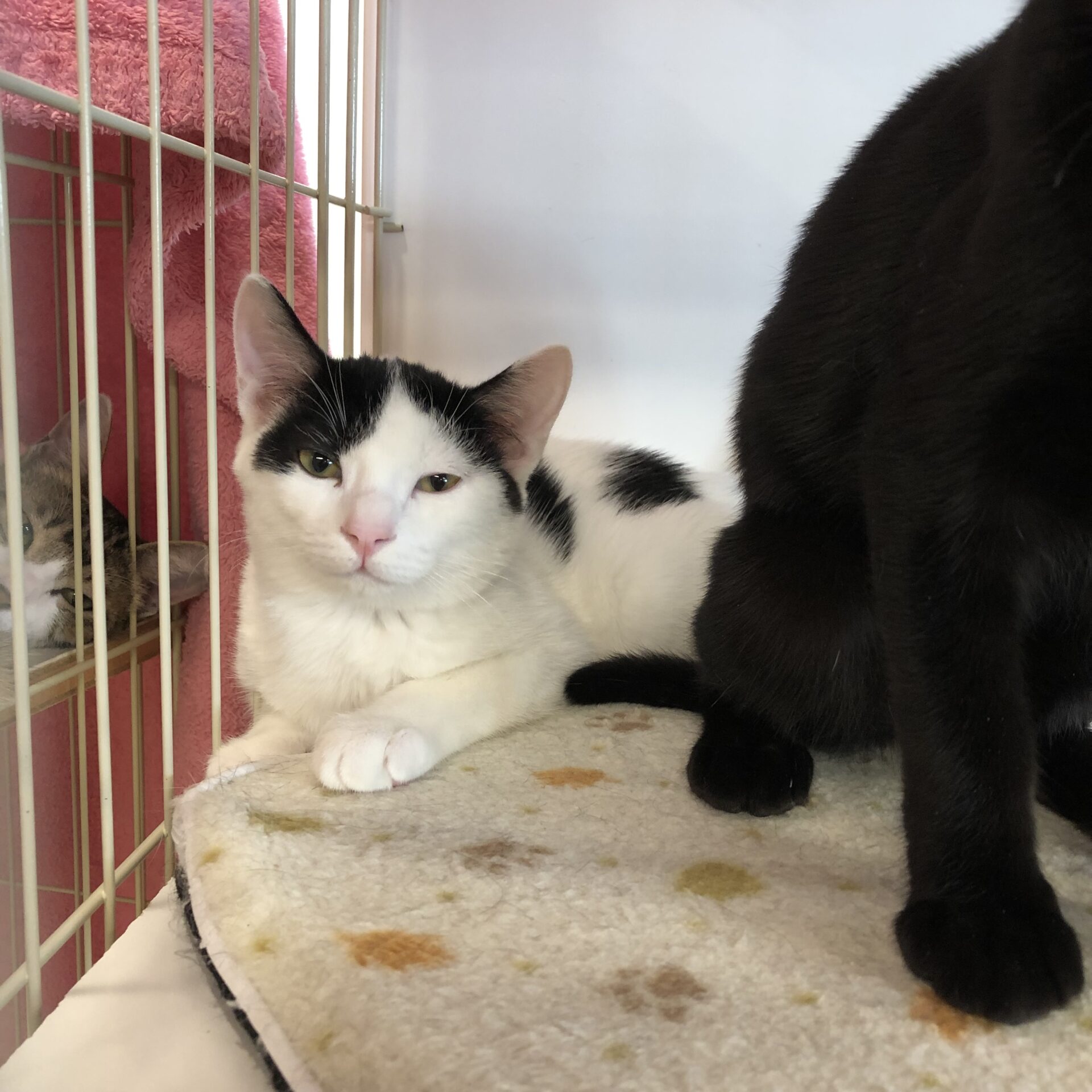 5605D161-D4CD-498D-AAF7-7936B69FC447