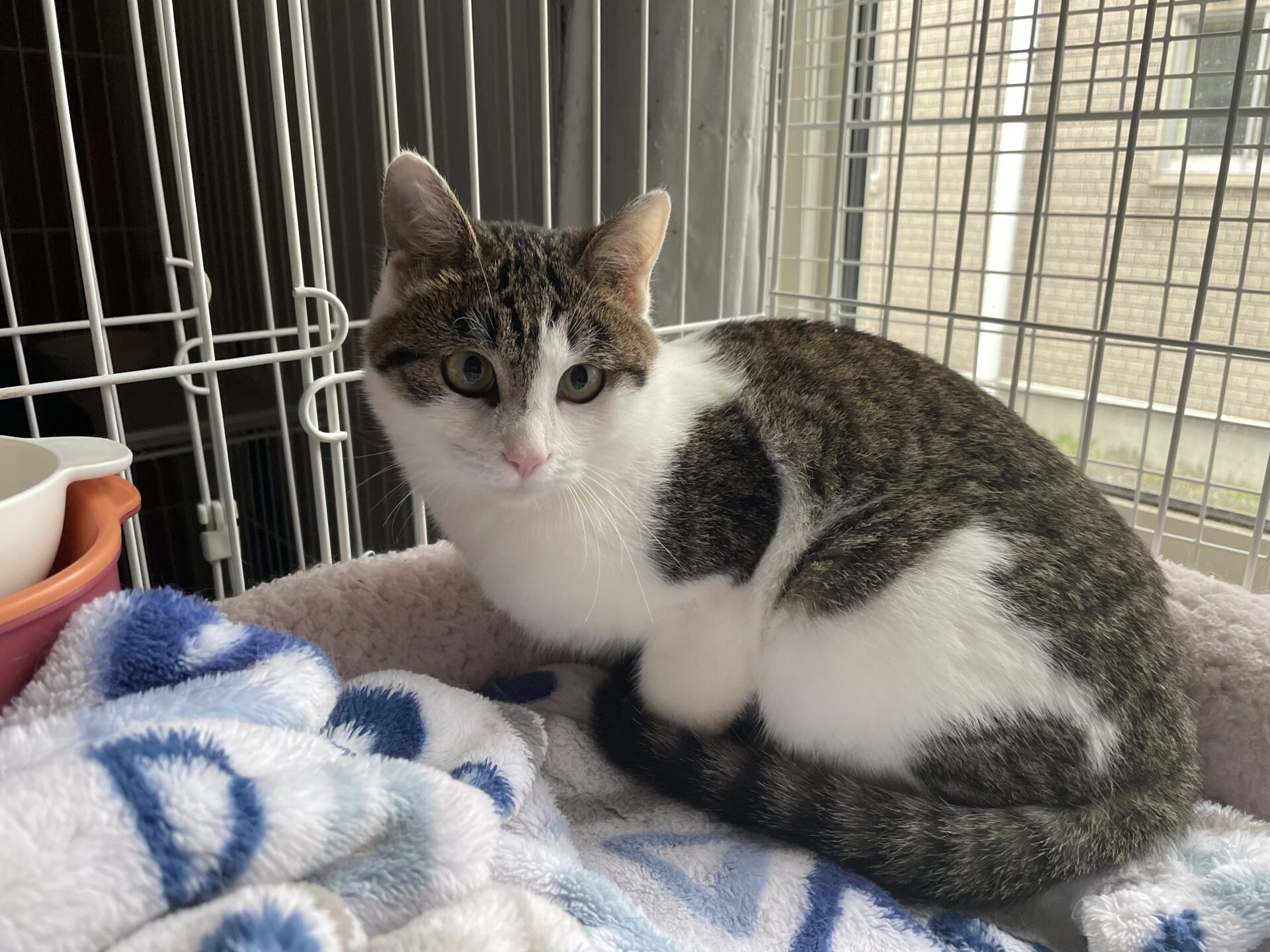 B38F6AD2-8CAD-47EA-8CE0-62DD4A75E38D