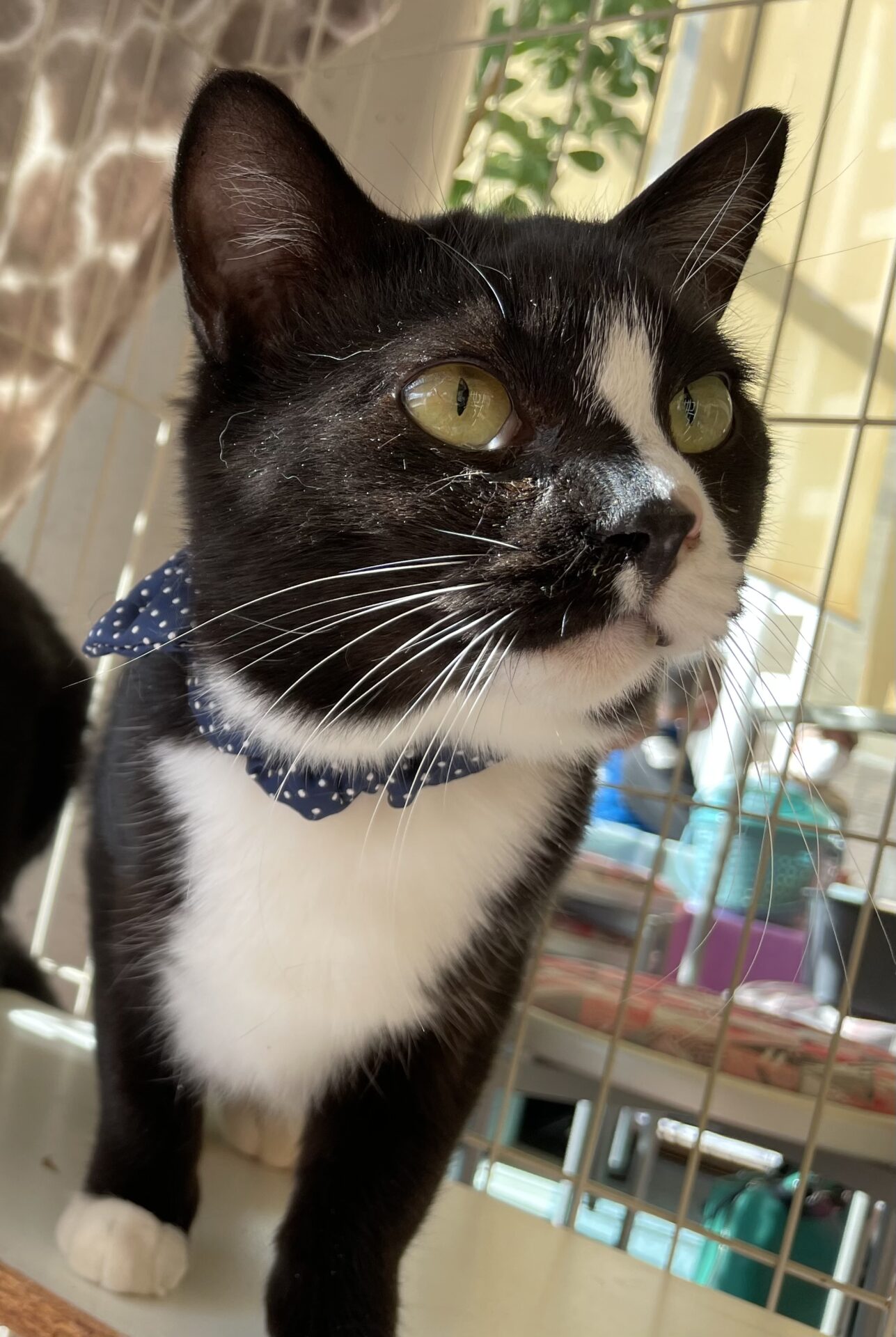 BCBE31FF-78F0-4544-A6D4-83D10B64E006