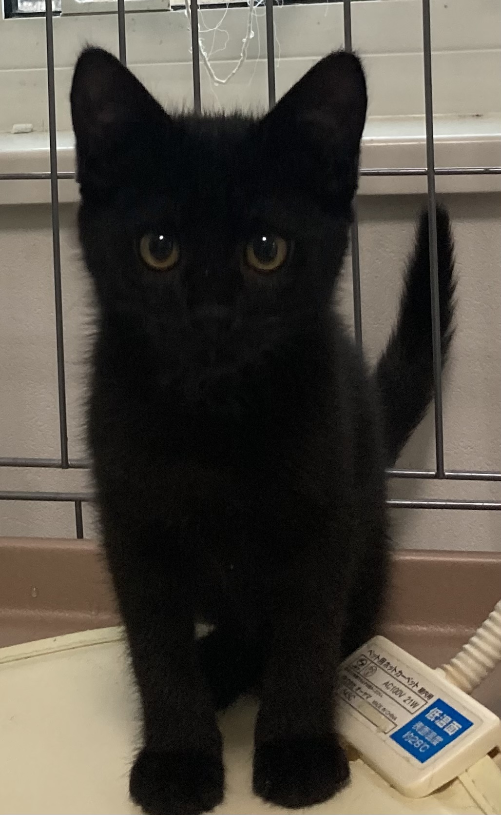 C073019F-CE22-42F2-9614-65358111E158