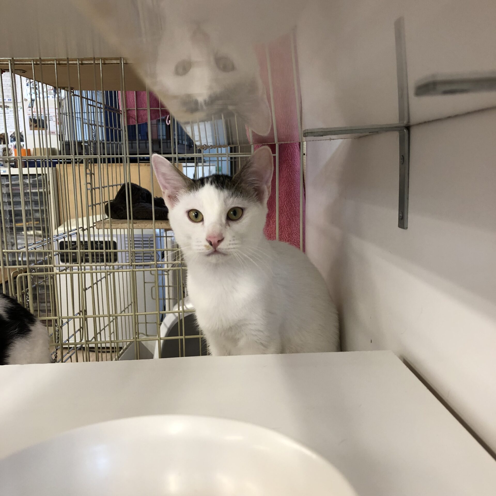 D018EF98-D9B0-47E0-9A10-D5E95071D2C0