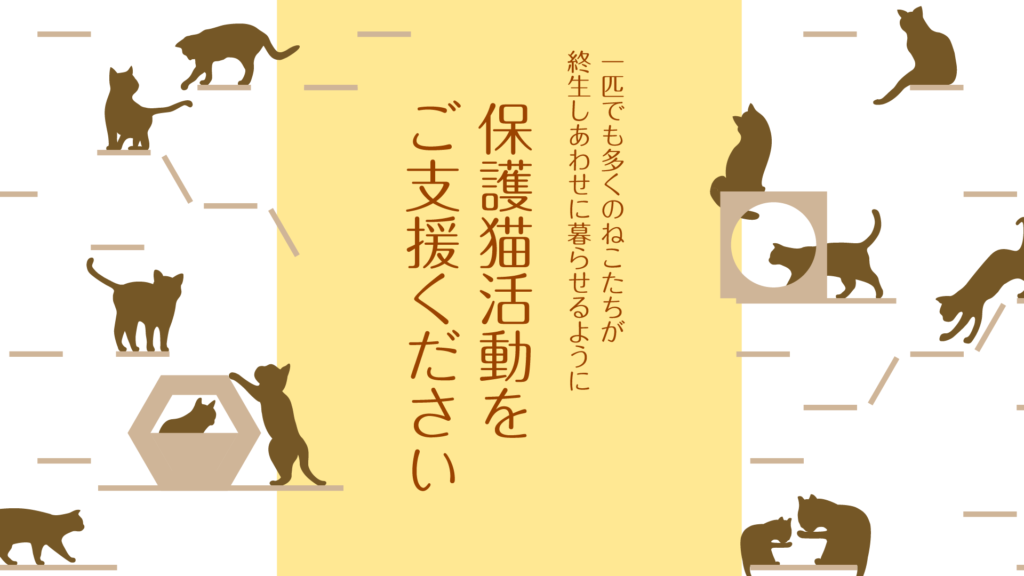 保護猫活動をご支援ください。